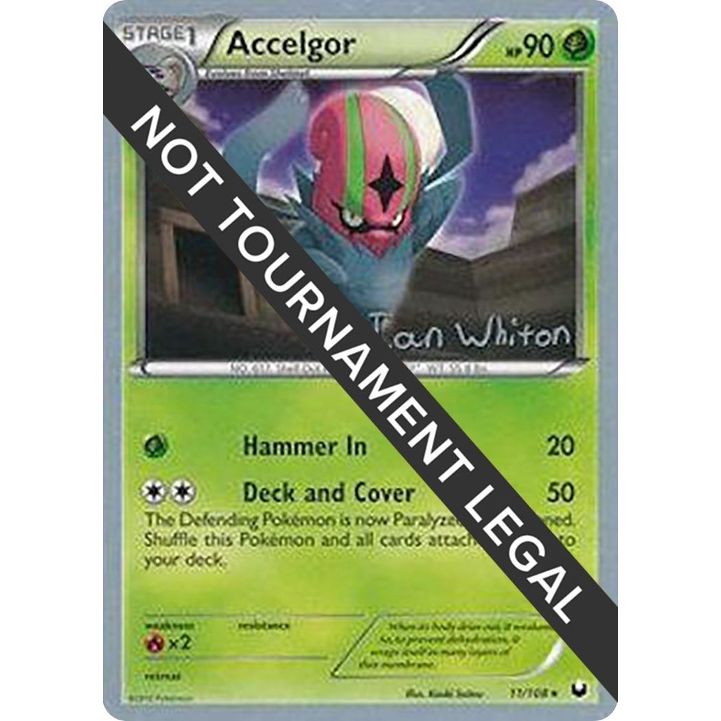 Image for Accelgor - 2013 (Ian Whiton) (11/108) (WCD) - Pokemon