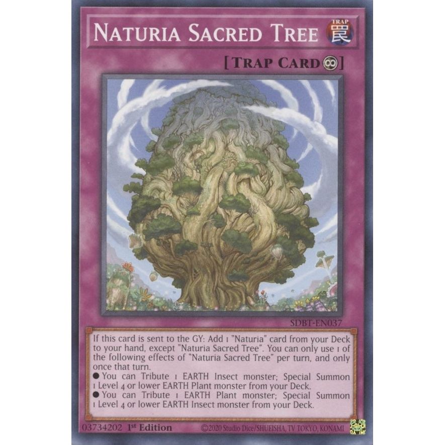 Image for Naturia Sacred Tree (SDBT-EN037) (SDBT) - YuGiOh