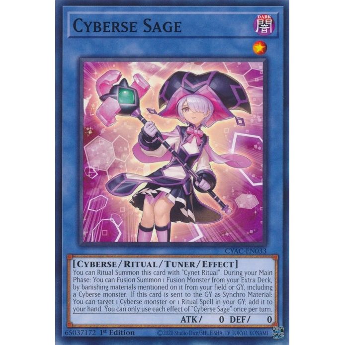 Image for Cyberse Sage (CYAC-EN033) (CYAC) - YuGiOh
