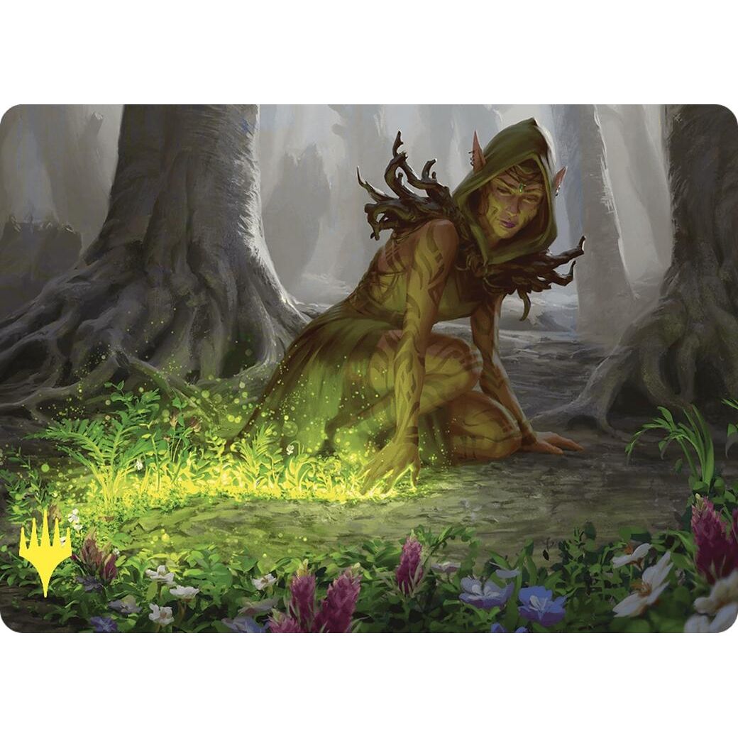 Image for Skyshroud Claim Art Card (Gold-Stamped) (25) (ASCMM) - Magic: The Gathering