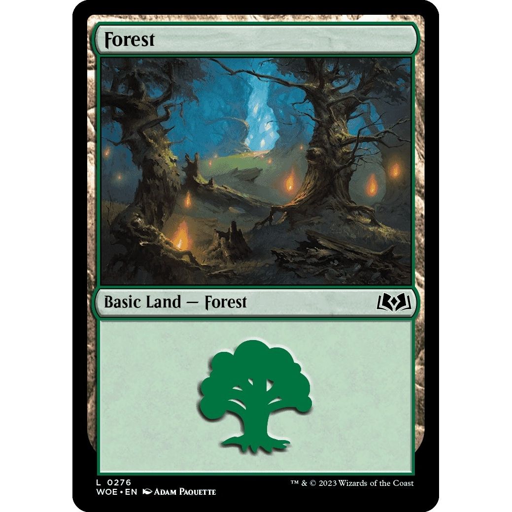 Image for Forest (0276) (276) (WOE) - Magic: The Gathering