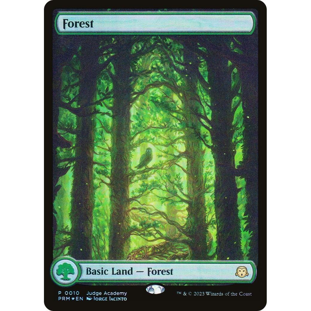 Image for Forest - Full Art (0010) (10) (JDG) - Magic: The Gathering