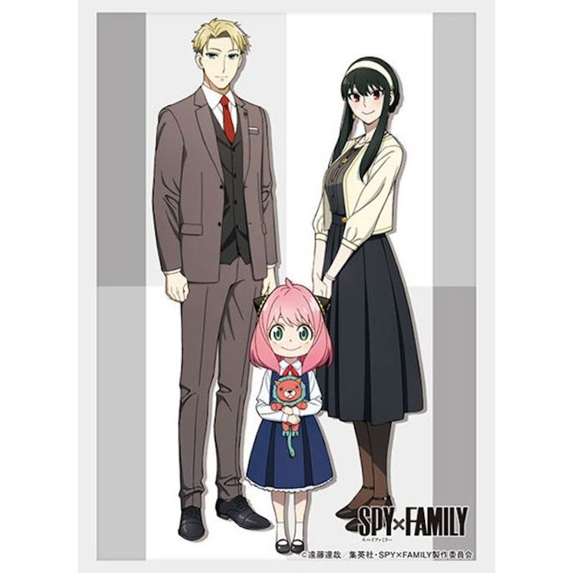 Image for Bushiroad Sleeve Collection HG Vol.3912: Spy x Family - Family Photo (75-Pack) - Card Sleeves