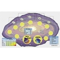 Image for Rocks for Sale Board Game - Boardgames