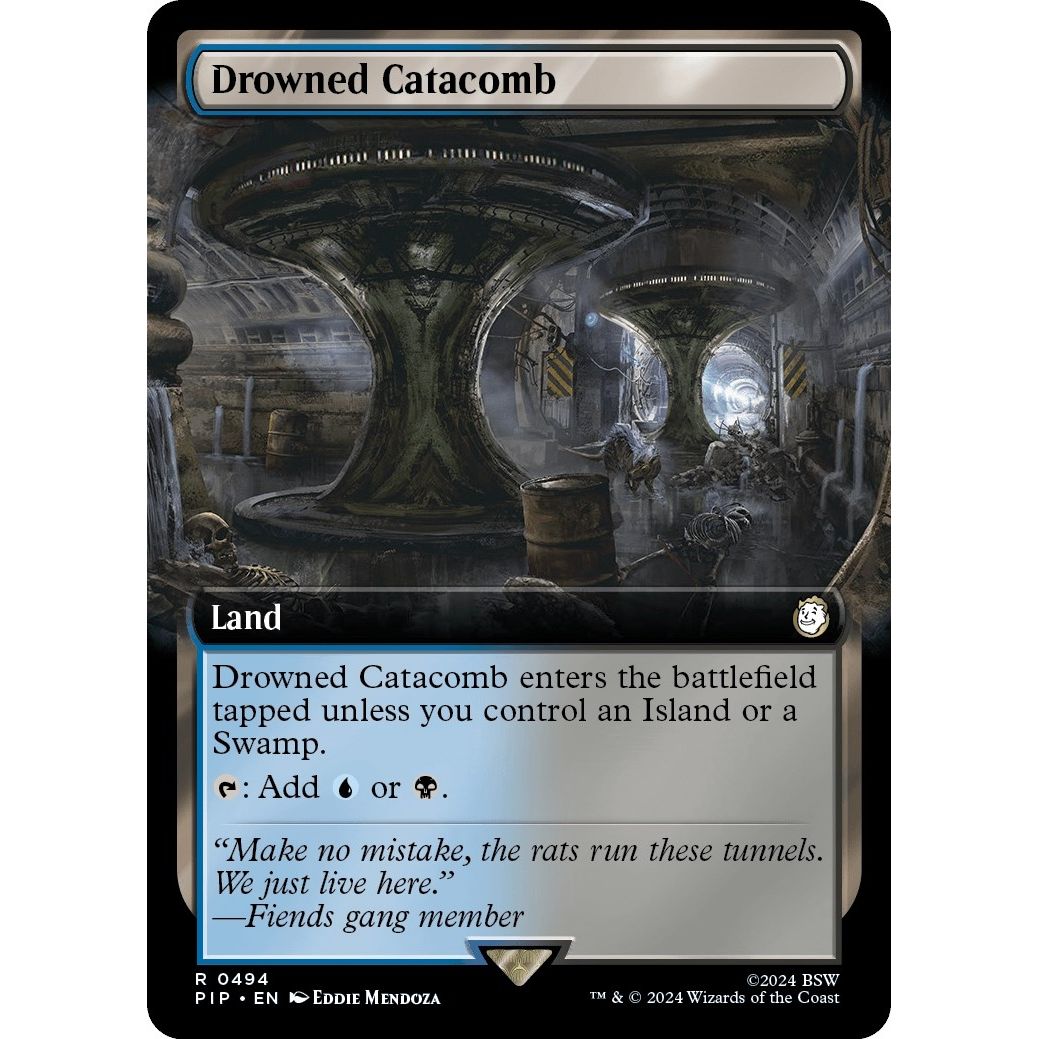 Image for Drowned Catacomb (Extended Art) (494) (PIP) - Magic: The Gathering