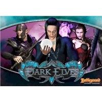 Image for Battleground Fantasy Warfare: Dark Elves - Boardgames