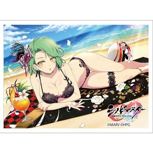 Image for Curtain Damashii: Shinobi Master Senran Kagura: New Link - Hikage (65-Sleeves) - Card Sleeves