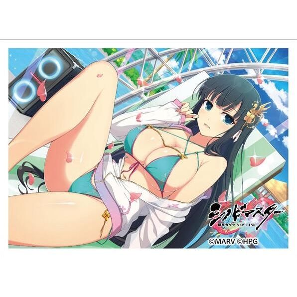 Image for Key-th: Shinobi Master Senran Kagura: New Link - Ikaruga / Legendary Bakunyuusai (65-Sleeves) - Card Sleeves