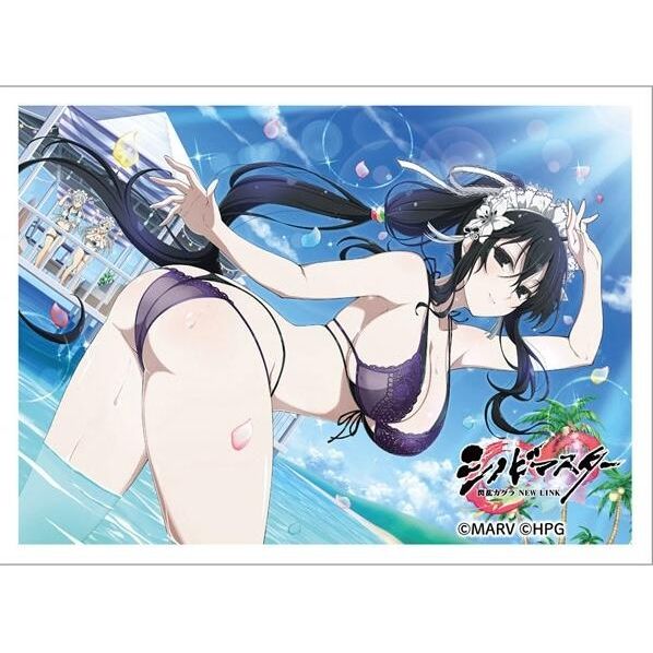 Image for Key-th: Shinobi Master Senran Kagura: New Link - Fubuki / 81 Day Bakunyuusai (65-Sleeves) - Card Sleeves