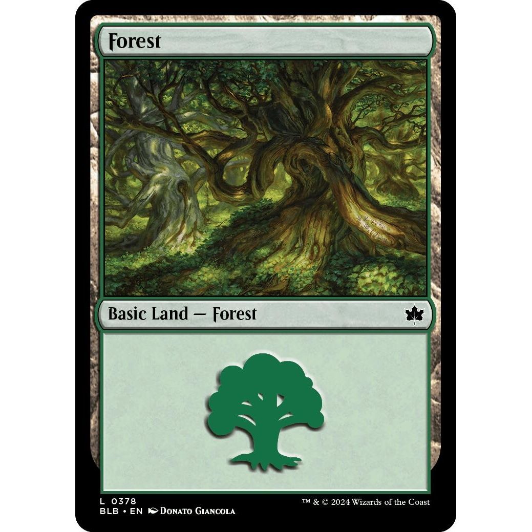 Image for Forest (0378) (378) (BLB) - Magic: The Gathering