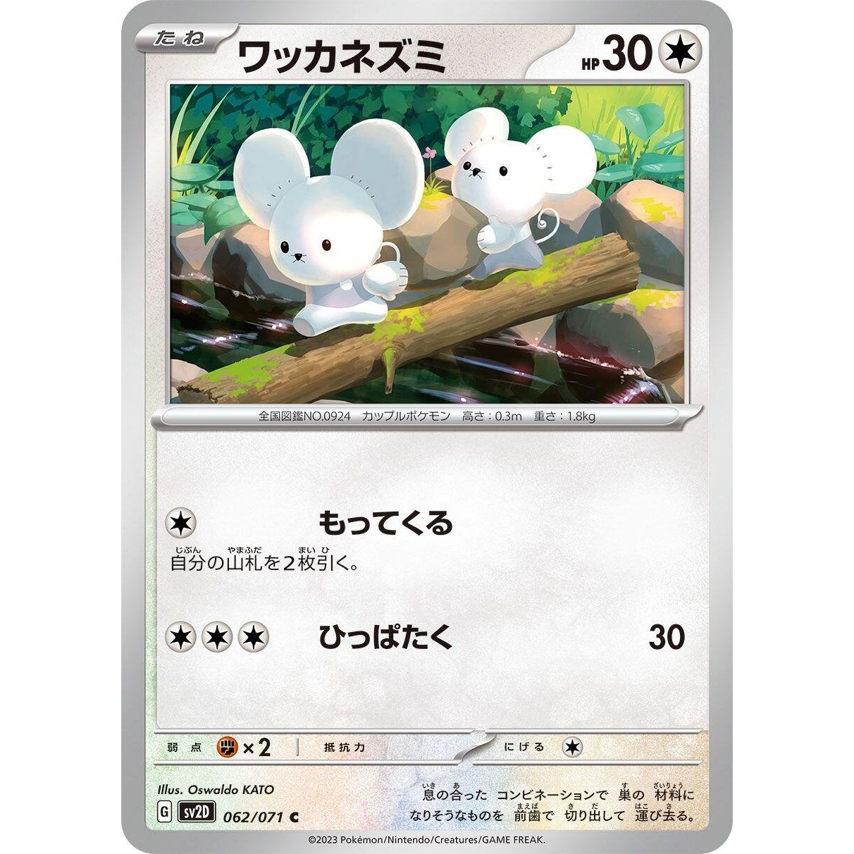Image for Tandemaus (062/071) (SV2D) - Pokemon Japan