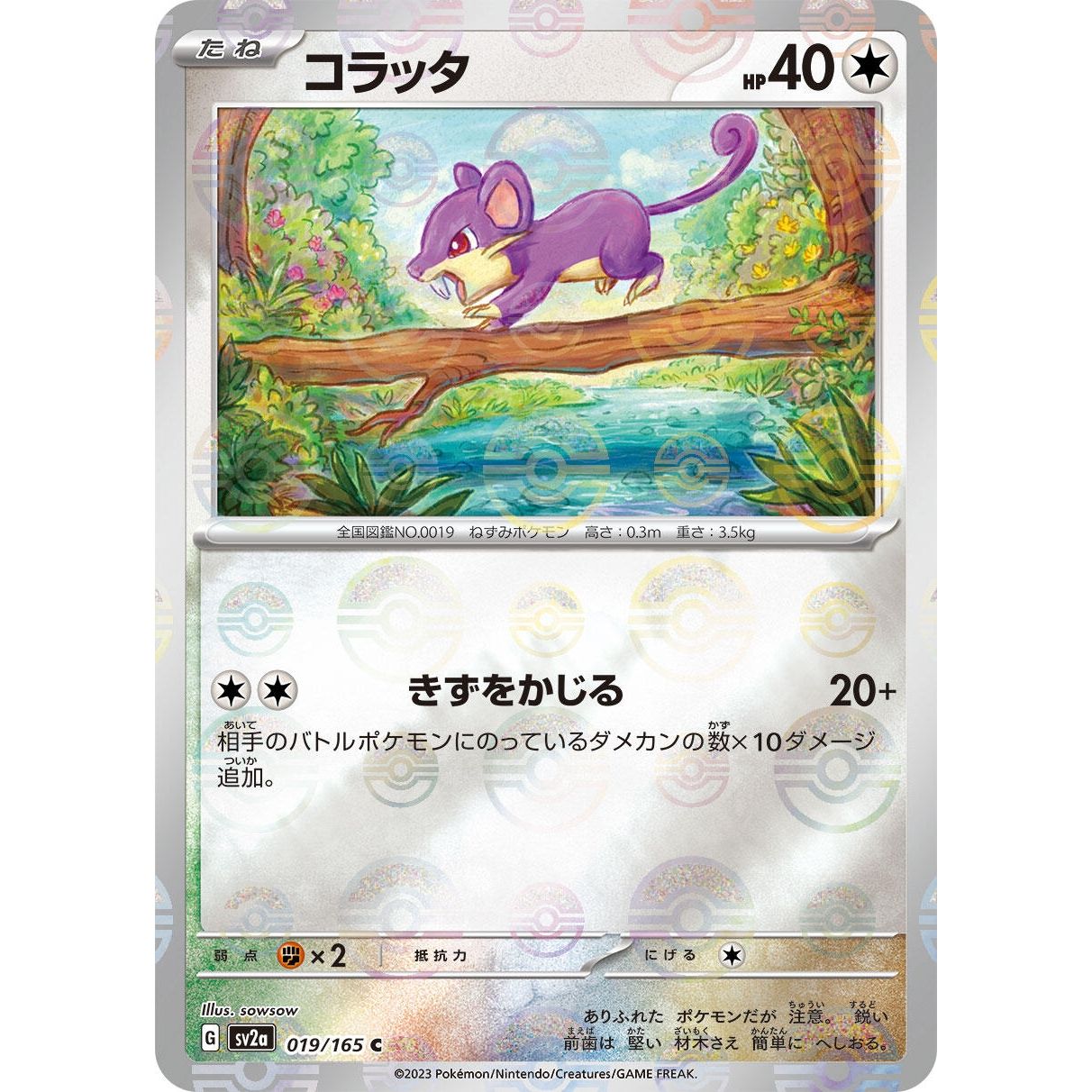 Image for Rattata (Poke Ball Pattern) (019/165) (SV2a) - Pokemon Japan