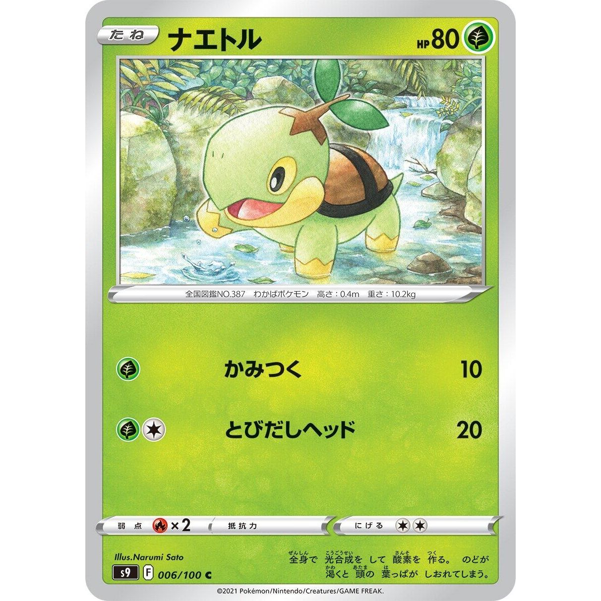 Image for Turtwig (006/100) (S9) - Pokemon Japan