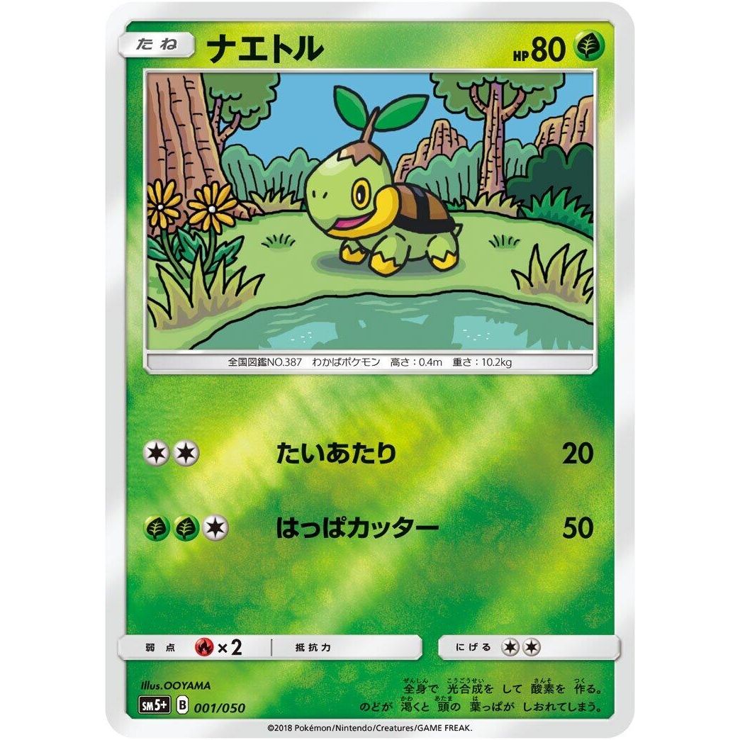 Image for Turtwig (001/050) (SM5+) - Pokemon Japan