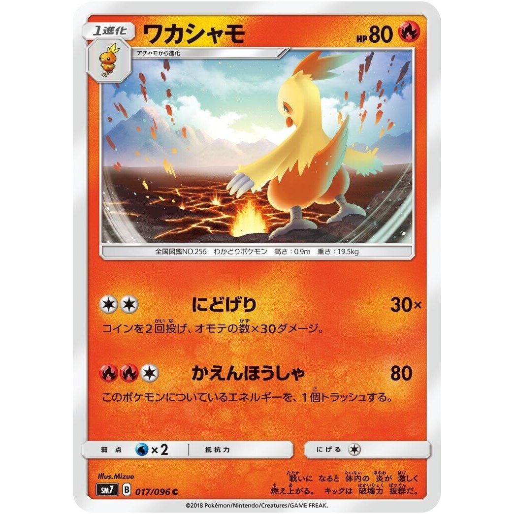 Image for Combusken (017/096) (SM7) - Pokemon Japan