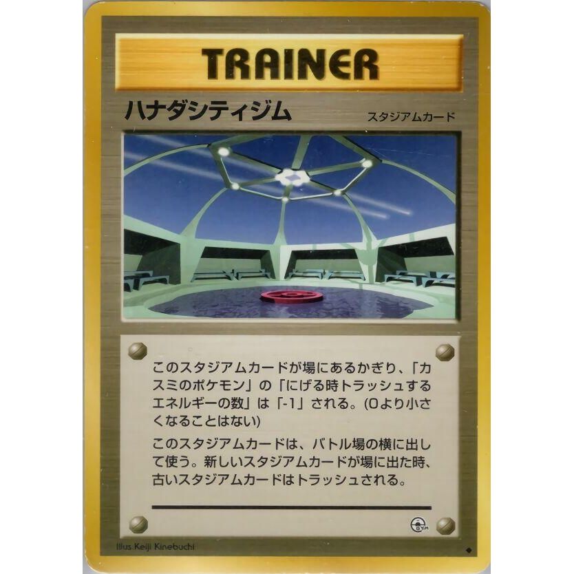 Image for Cerulean City Gym - Pokemon Japan