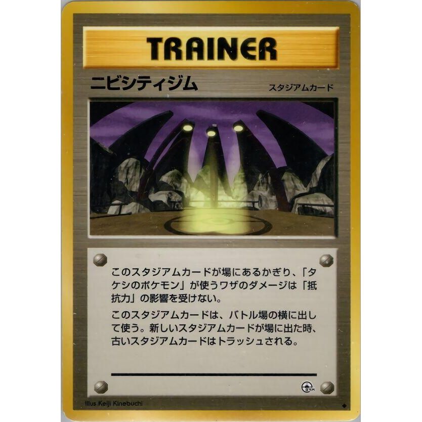 Image for Pewter City Gym - Pokemon Japan