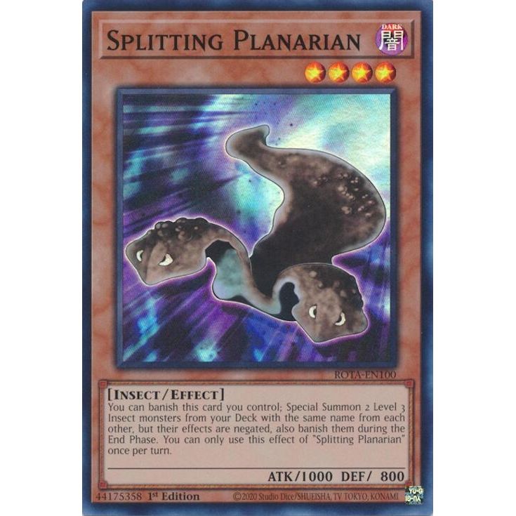 Image for Splitting Planarian (ROTA-EN100) (ROTA) - YuGiOh