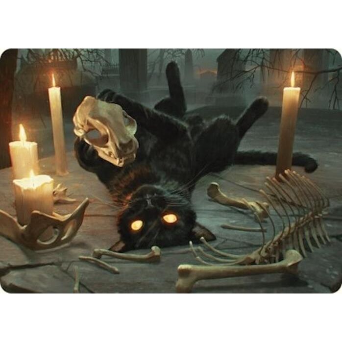 Image for Nine-Lives Familiar Art Card (8/54) (8) (ASFDN) - Magic: The Gathering