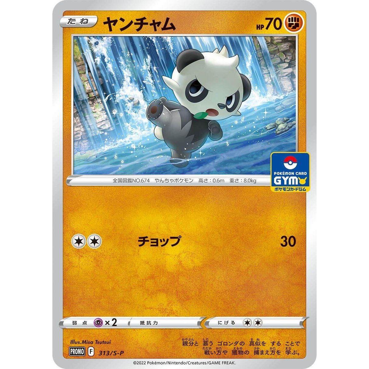 Image for Pancham - 313/S-P (313/S-P) (S-P) - Pokemon Japan