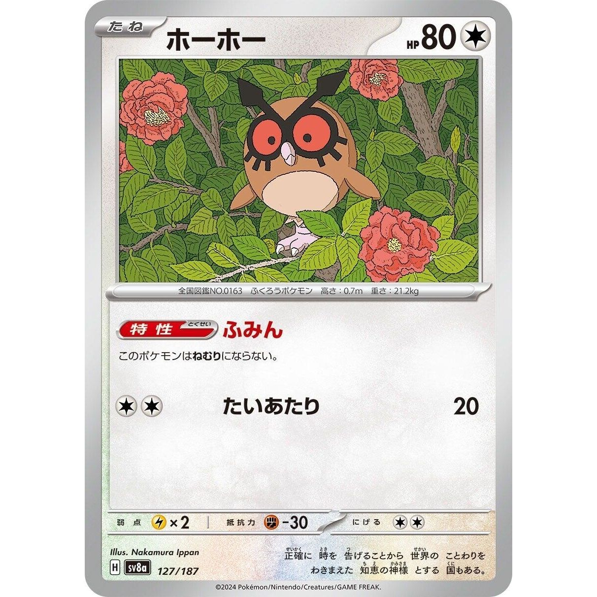 Image for Hoothoot (127/187) (SV8a) - Pokemon Japan