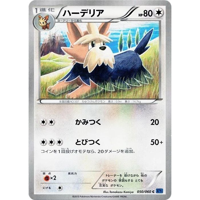 Image for Herdier (050/060) (XY-Bx) - Pokemon Japan