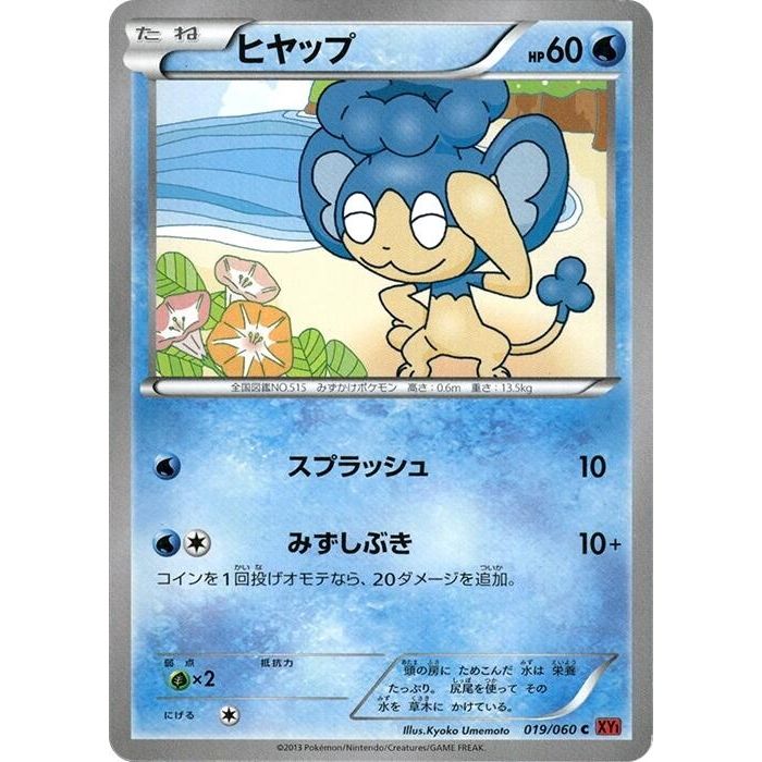 Image for Panpour (019/060) (XY-By) - Pokemon Japan