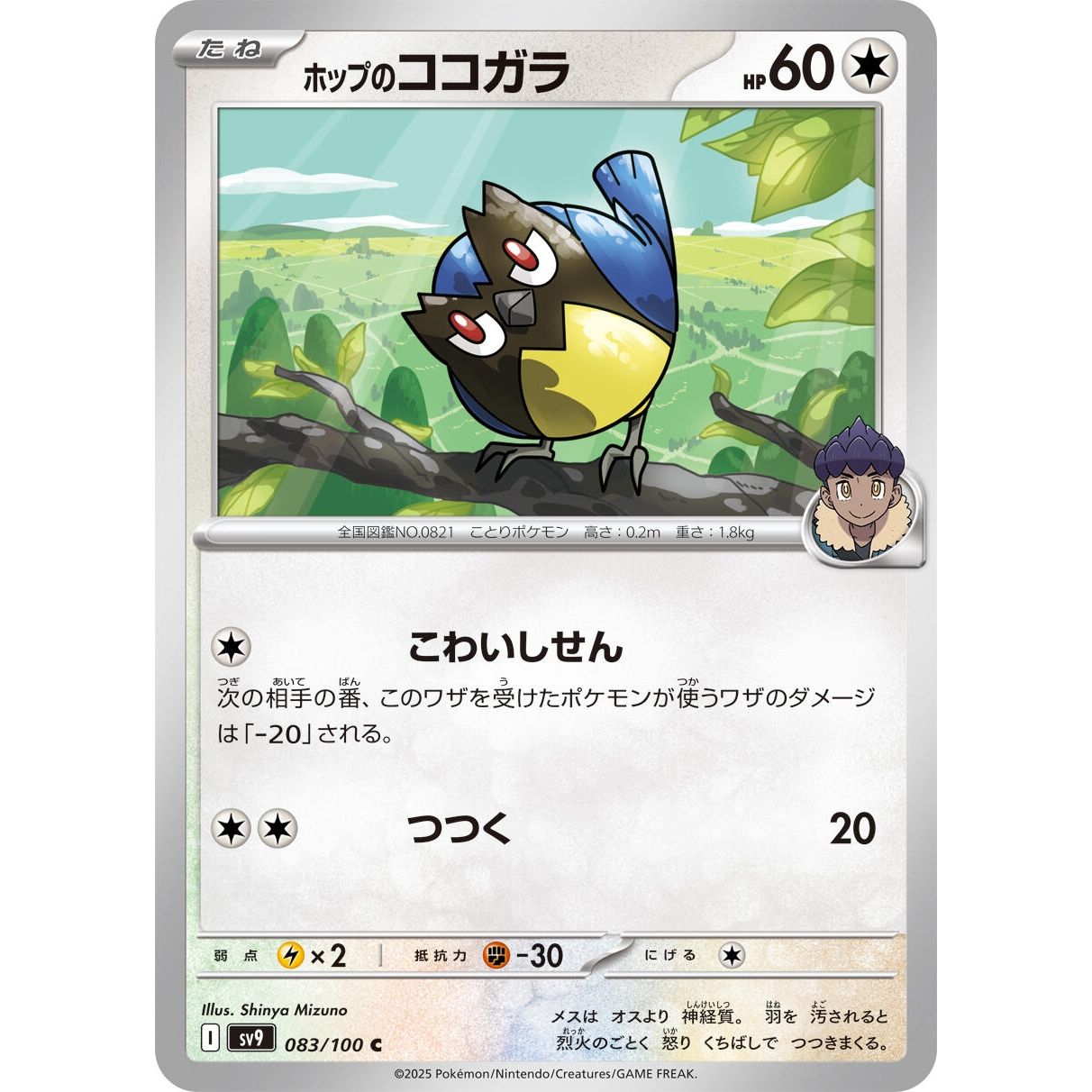 Image for Hop's Rookidee (083/100) (SV9) - Pokemon Japan