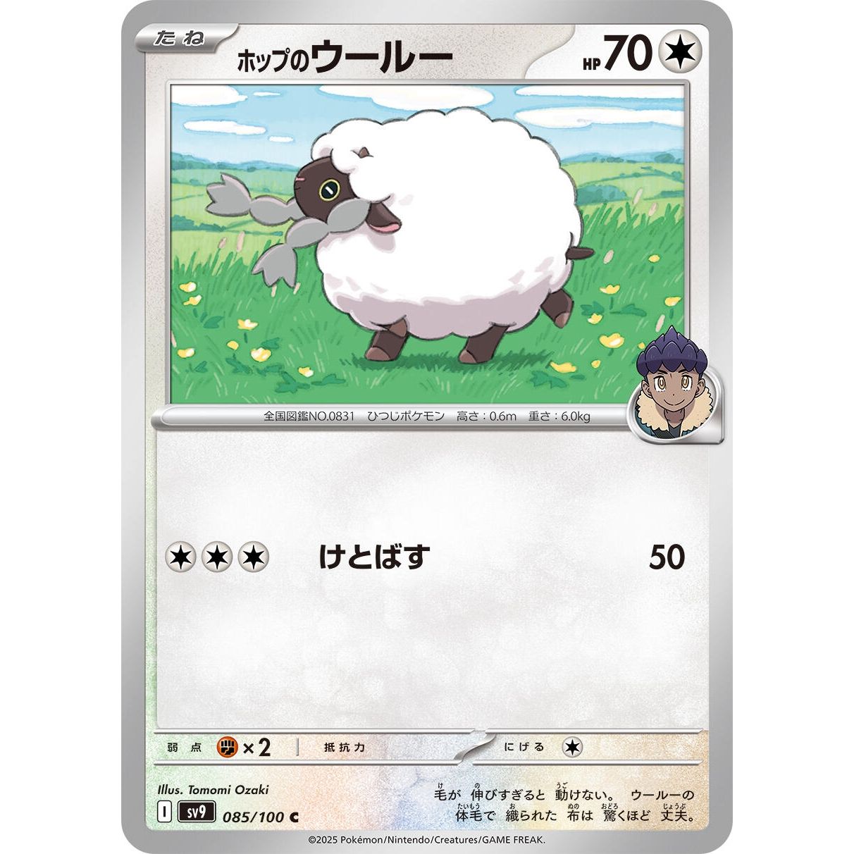 Image for Hop's Wooloo (085/100) (SV9) - Pokemon Japan
