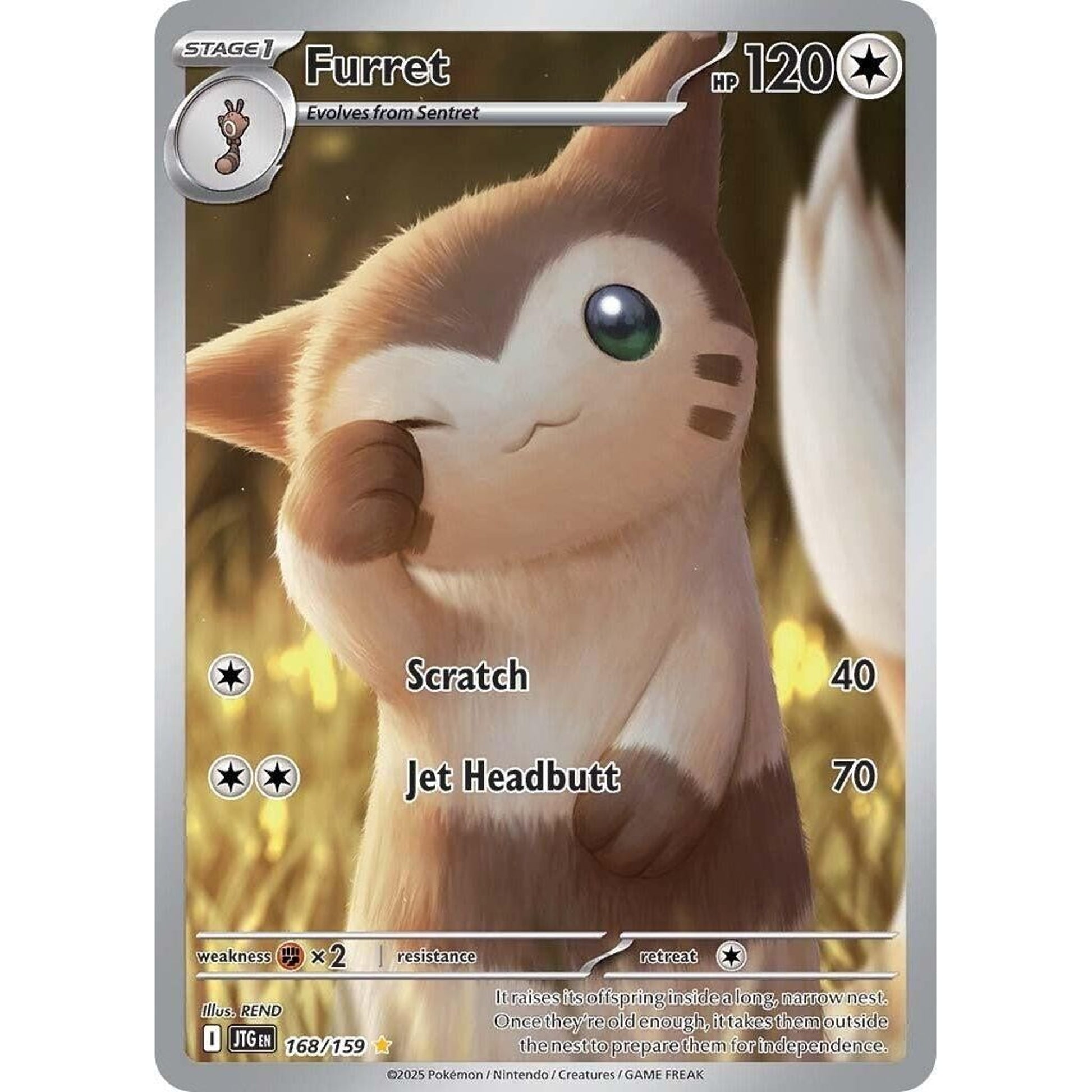 Image for Furret (168/159) (JTG) - Pokemon