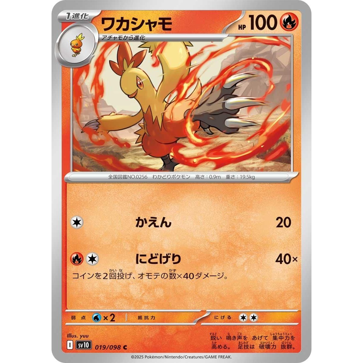 Image for Combusken (019/098) (SV10) - Pokemon Japan