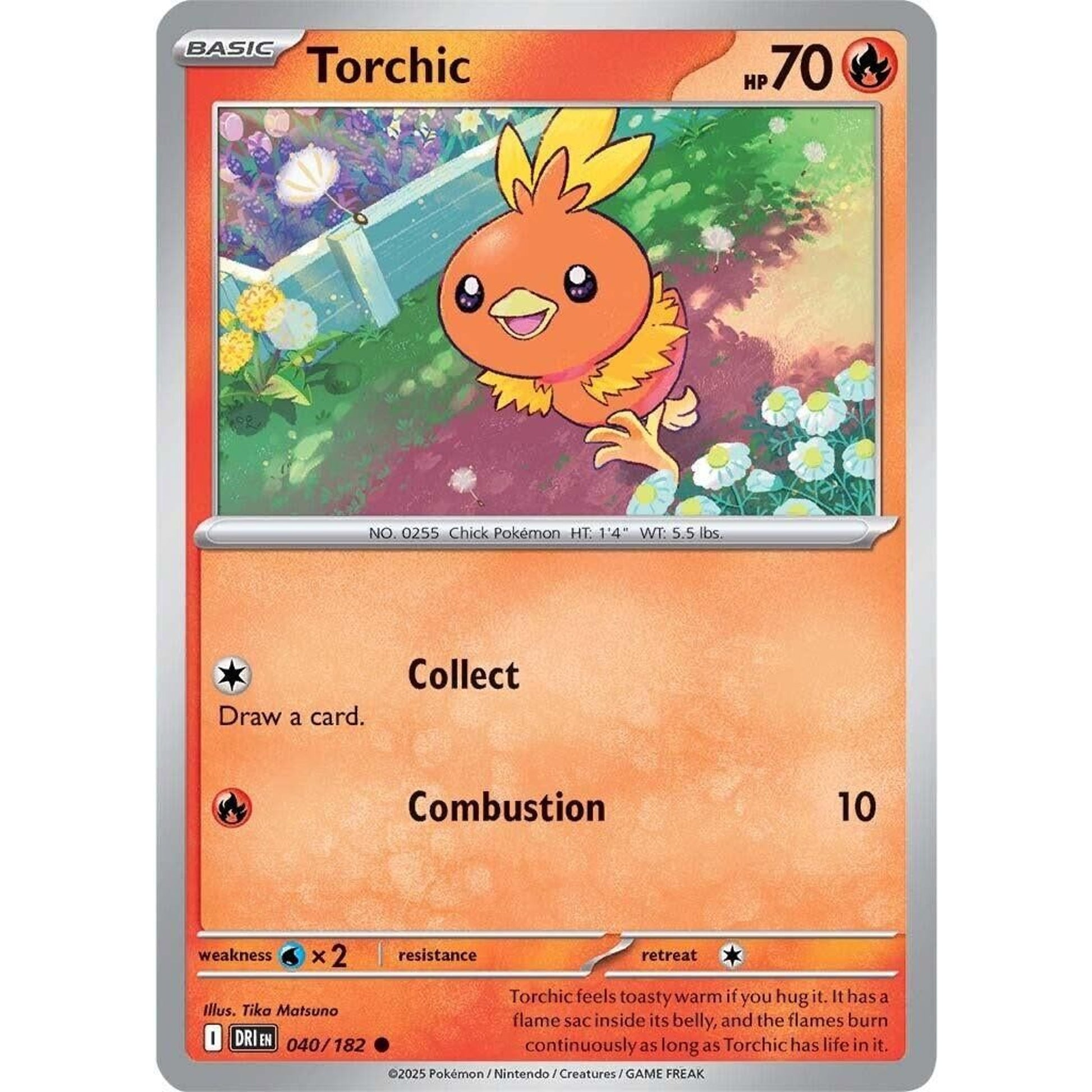 Image for Torchic (040/182) (DRI) - Pokemon