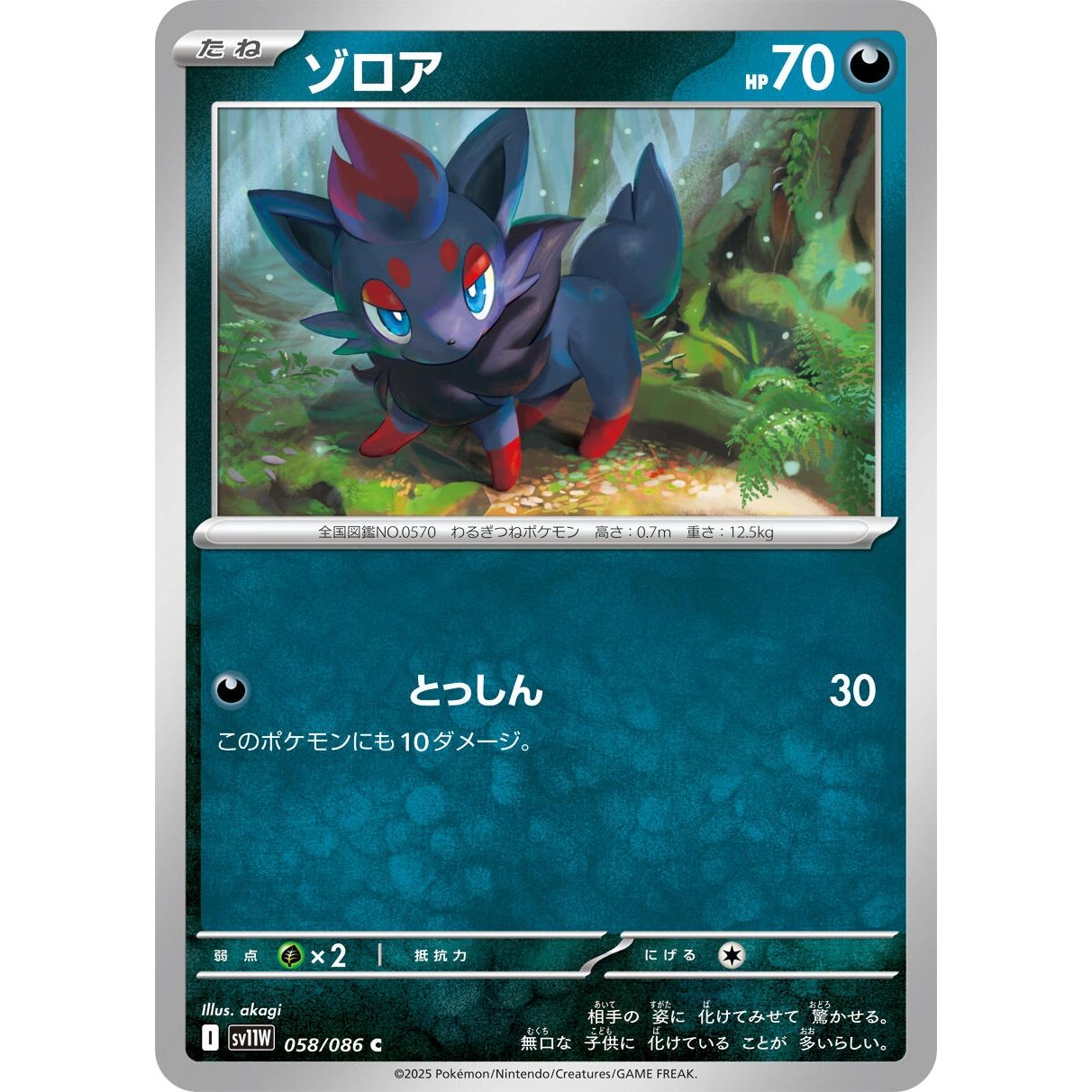 Image for Zorua (058/086) (SV11W) - Pokemon Japan