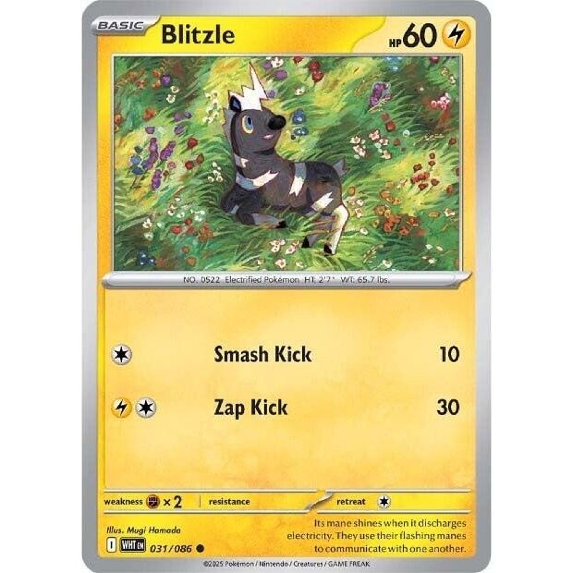 Image for Blitzle (031/086) (WHT) - Pokemon