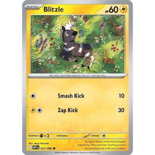 Image for Blitzle (031/086) (WHT) - Pokemon