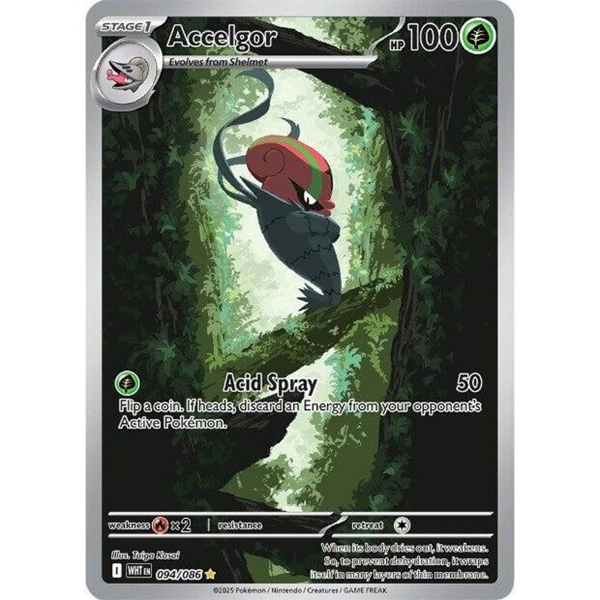 Image for Accelgor (094/086) (WHT) - Pokemon