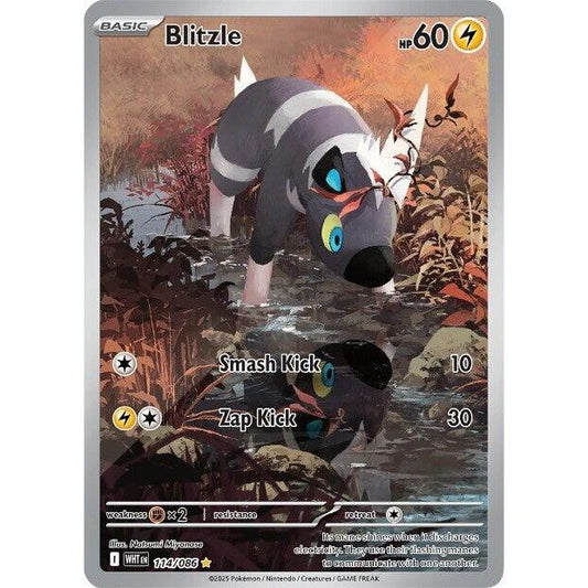 Image for Blitzle (114/086) (WHT) - Pokemon