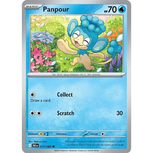 Image for Panpour (017/086) (BLK) - Pokemon