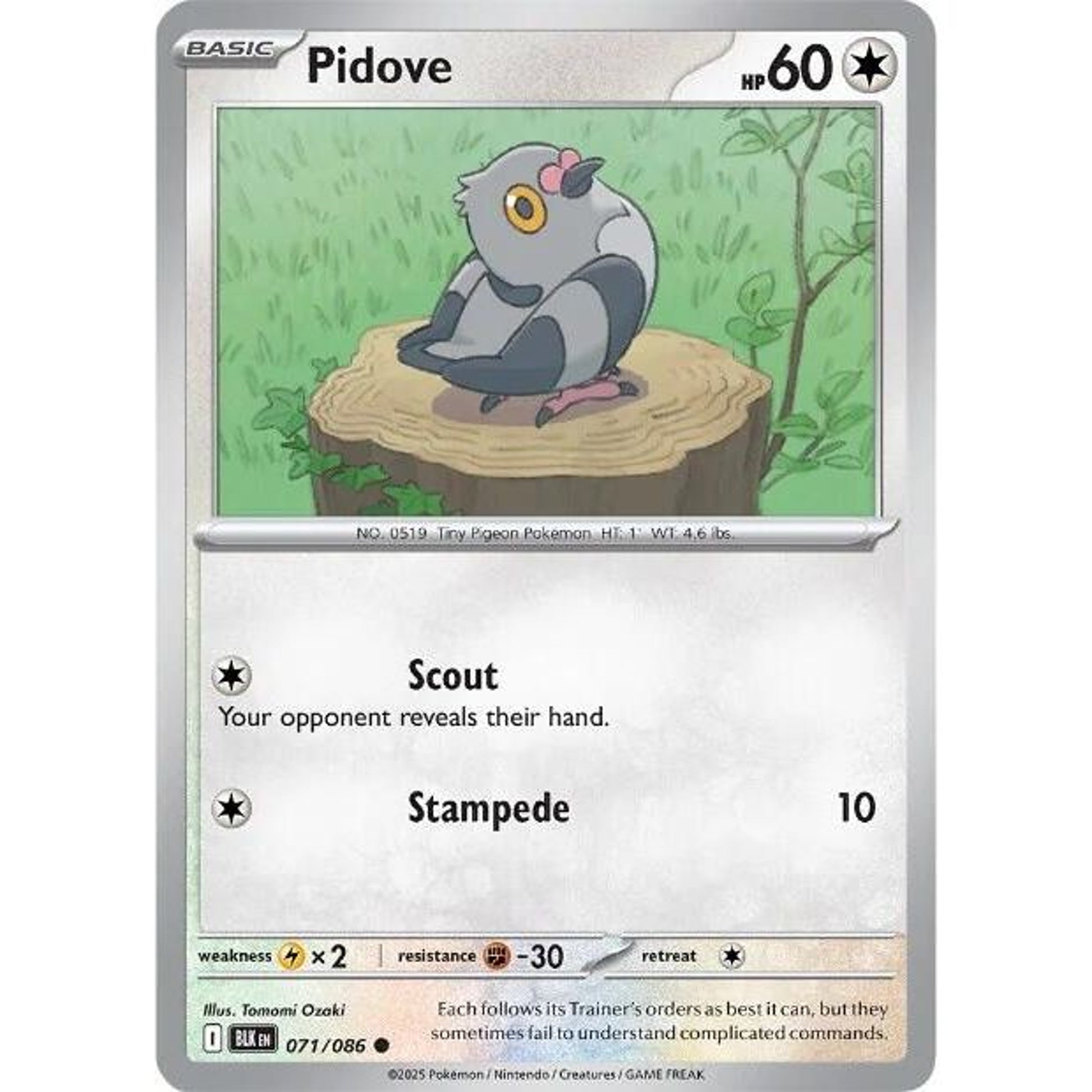 Image for Pidove (071/086) (BLK) - Pokemon