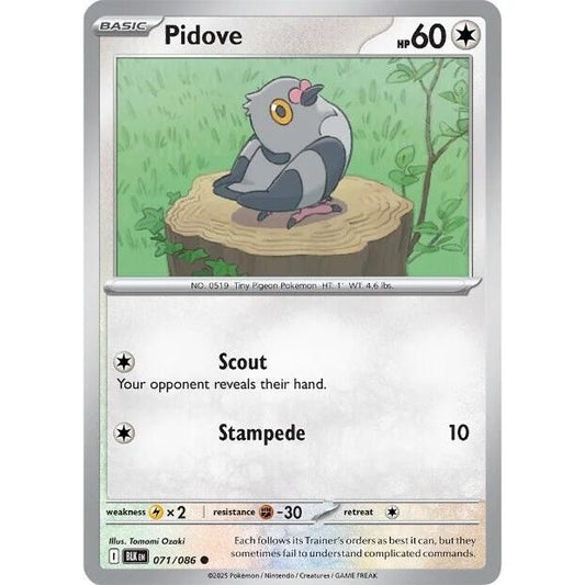 Image for Pidove (071/086) (BLK) - Pokemon