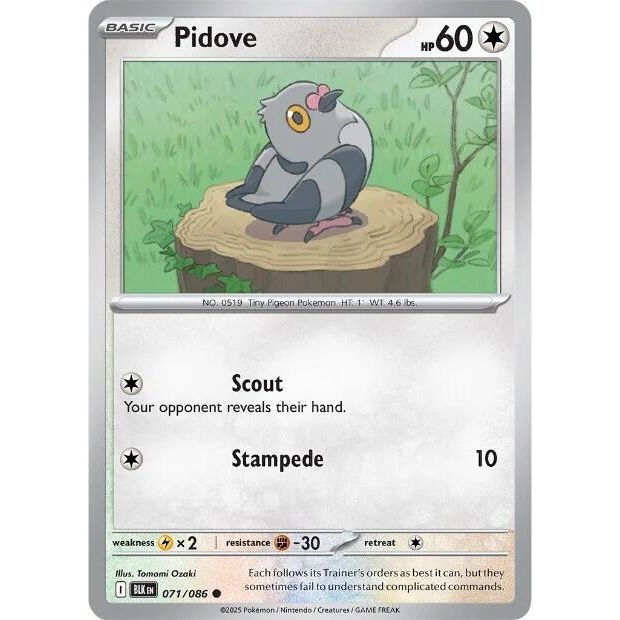 Image for Pidove (071/086) (BLK) - Pokemon