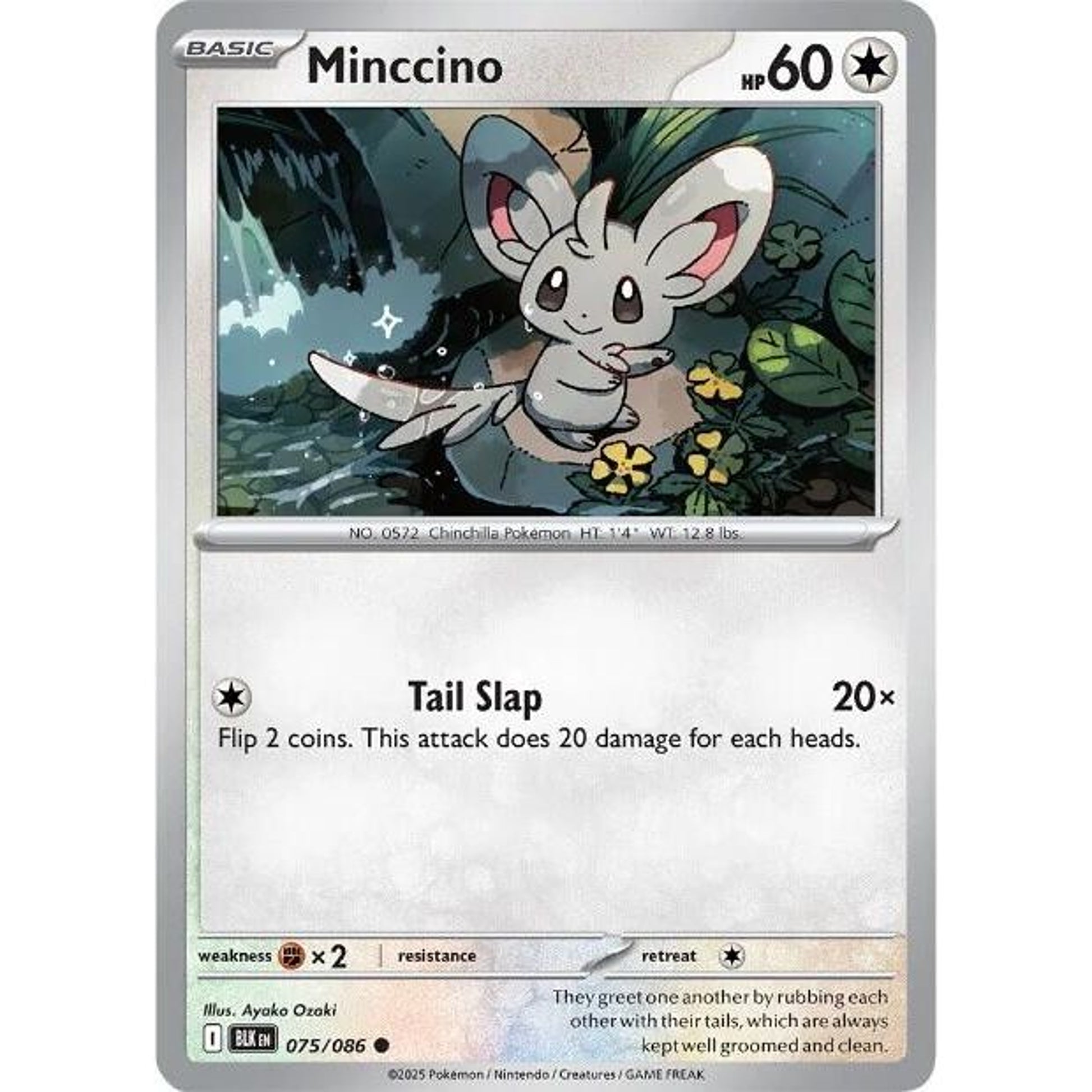 Image for Minccino (075/086) (BLK) - Pokemon