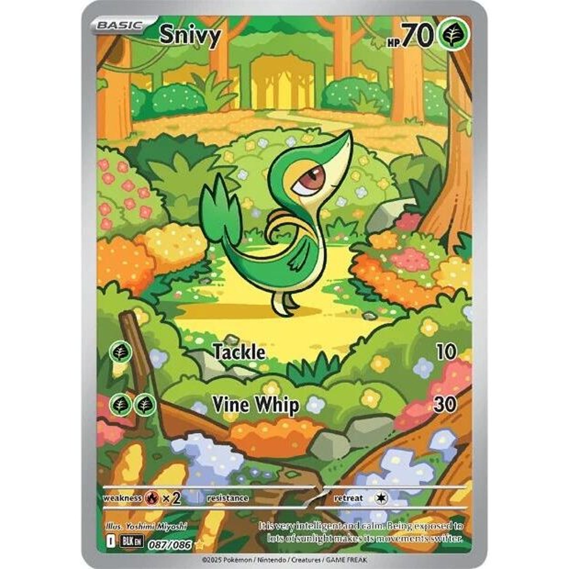 Image for Snivy (087/086) (BLK) - Pokemon