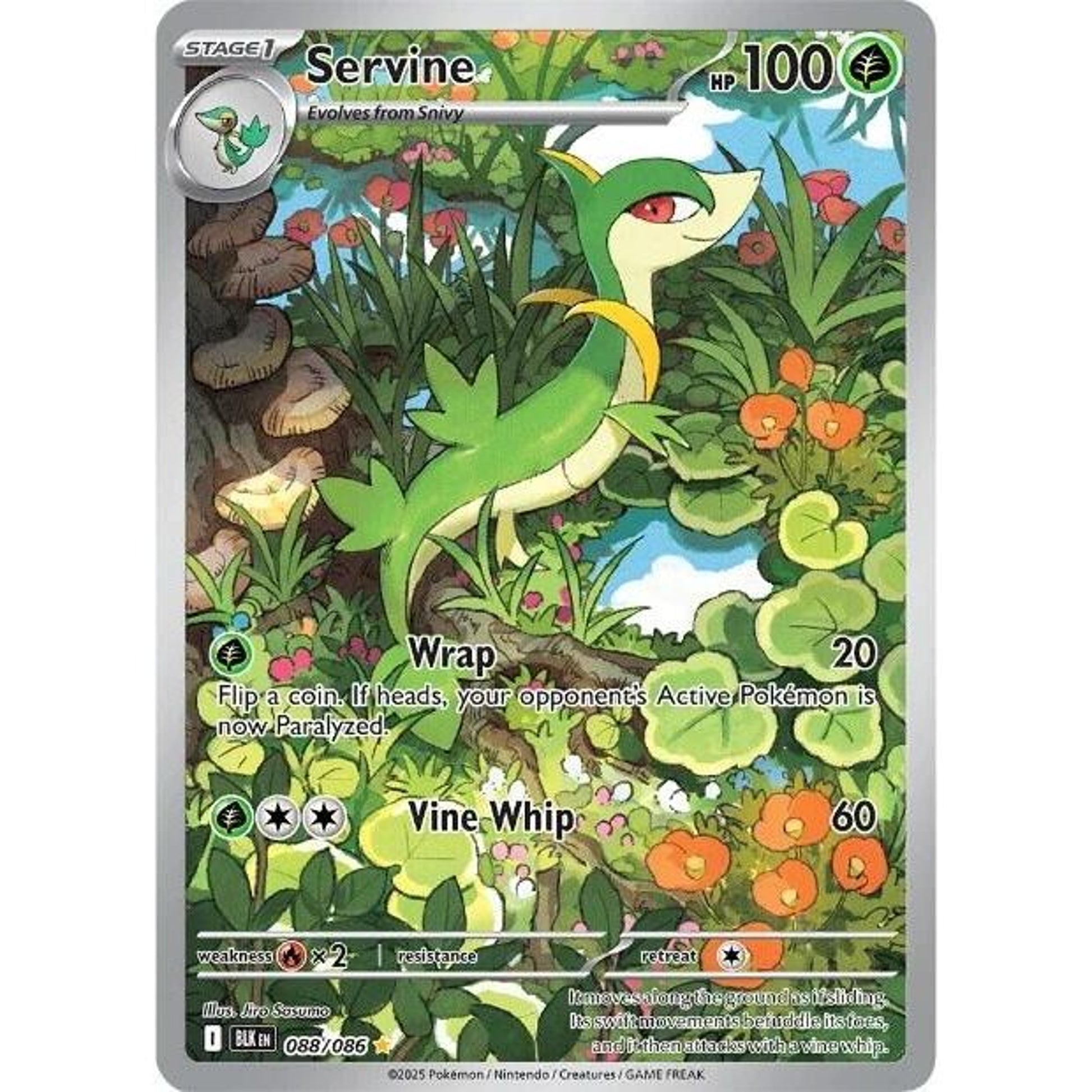 Image for Servine (088/086) (BLK) - Pokemon