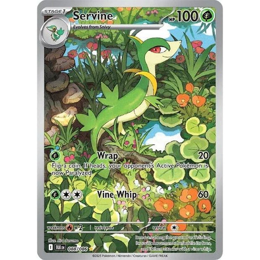 Image for Servine (088/086) (BLK) - Pokemon