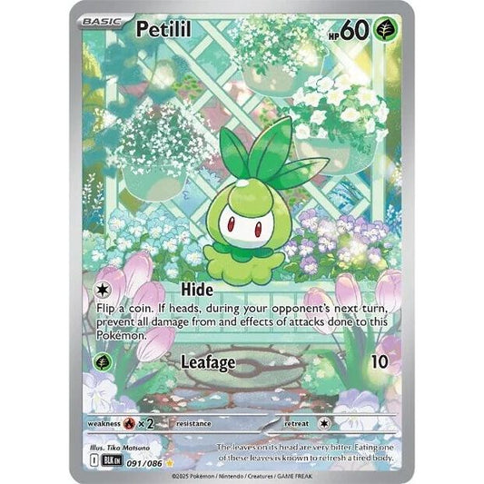 Image for Petilil (091/086) (BLK) - Pokemon