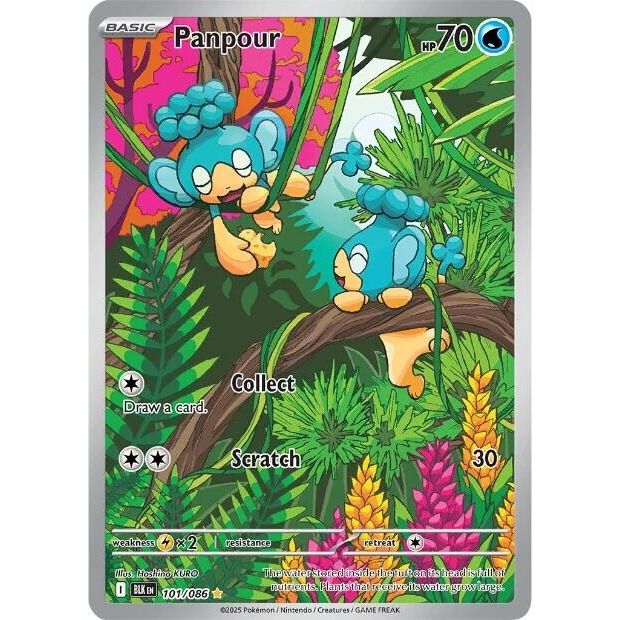 Image for Panpour (101/086) (BLK) - Pokemon