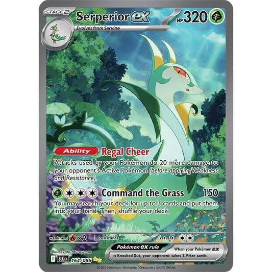 Image for Serperior ex (164/086) (BLK) - Pokemon