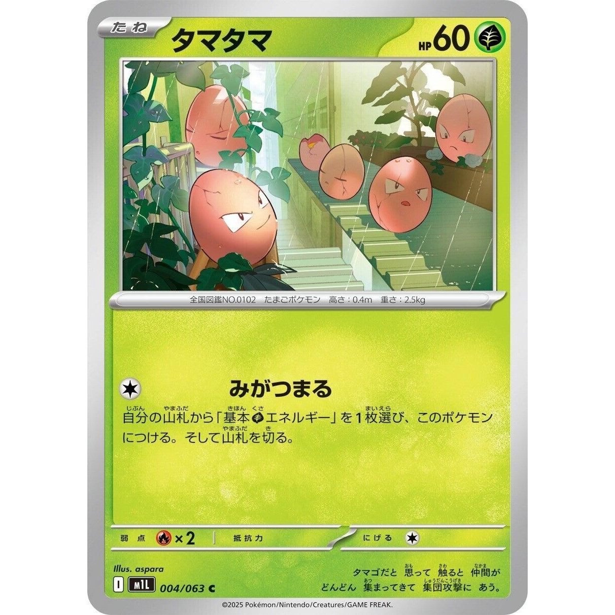 Image for Exeggcute (004/063) (m1L) - Pokemon Japan