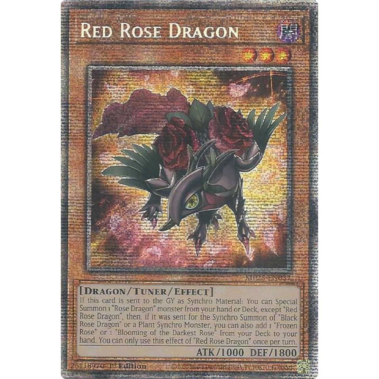 Image for Red Rose Dragon (MP25-EN037) (MP25) - YuGiOh